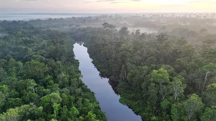 Kemenhut Sosialisasi Aturan Baru Karbon Hutan untuk Rakyat