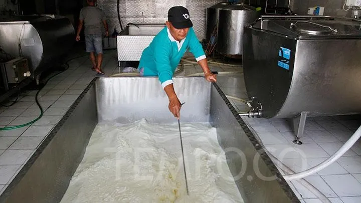 Bappenas Dorong Percepatan Hilirisasi Susu Boyolali