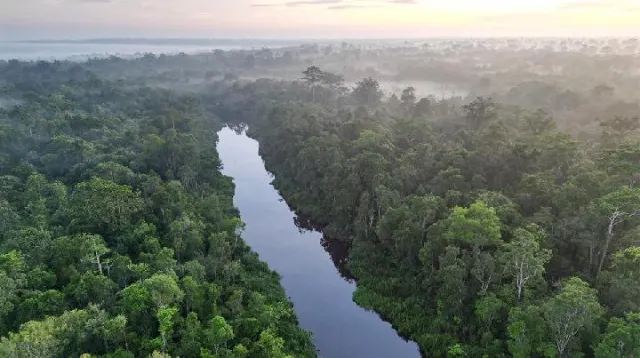 Kemenhut Sosialisasi Aturan Baru Karbon Hutan untuk Rakyat